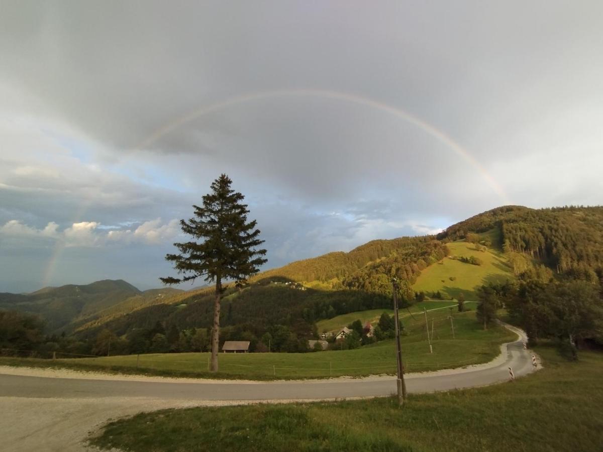 Готель Planinski Dom Vrhe Trbovlje Екстер'єр фото