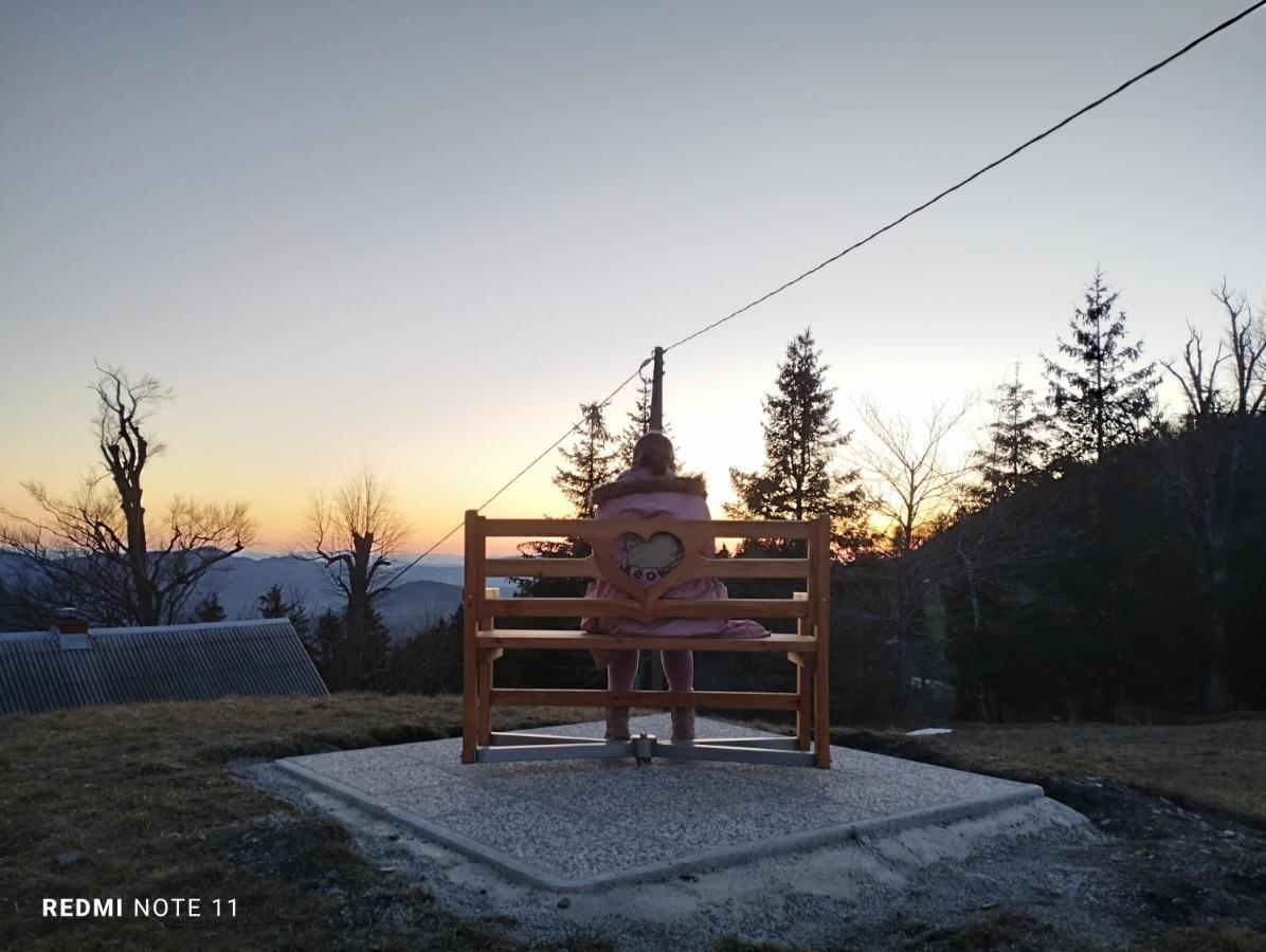 Готель Planinski Dom Vrhe Trbovlje Екстер'єр фото